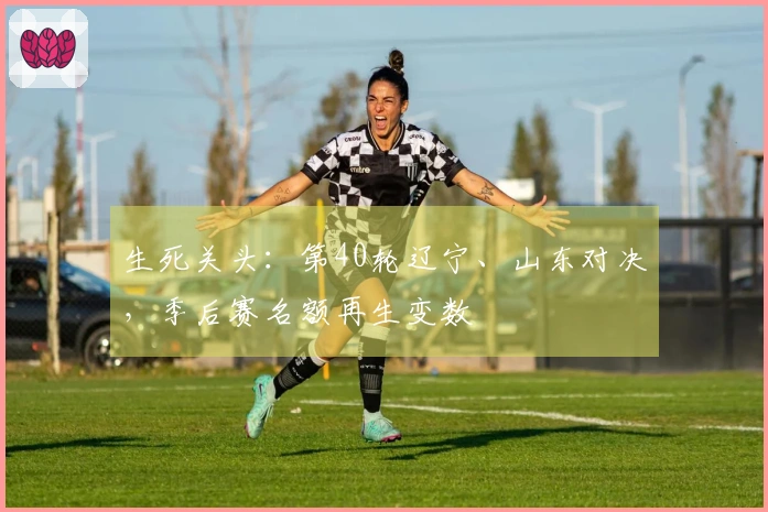 生死关头：第40轮辽宁、山东对决，季后赛名额再生变数