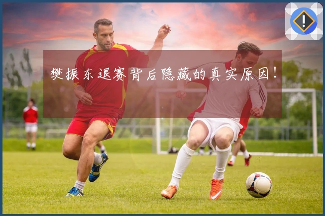 樊振东退赛背后隐藏的真实原因！